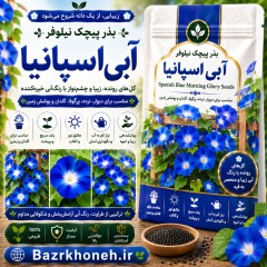 بذر پیچک نیلوفر آبی اسپانیا