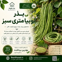 بذرلوبیا متری سبز